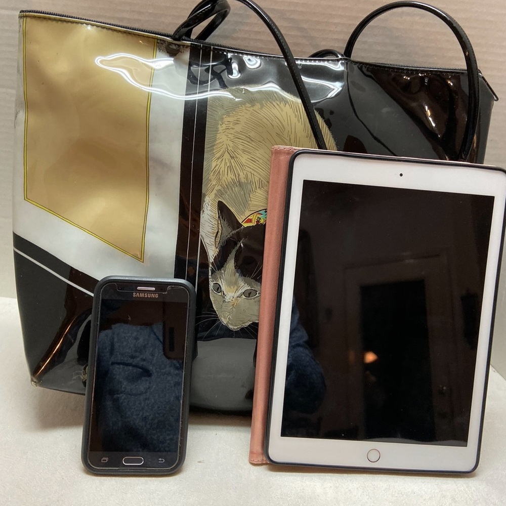 Met Bag & Pouch Featuring Catnip: Cats Of The Met - image 7